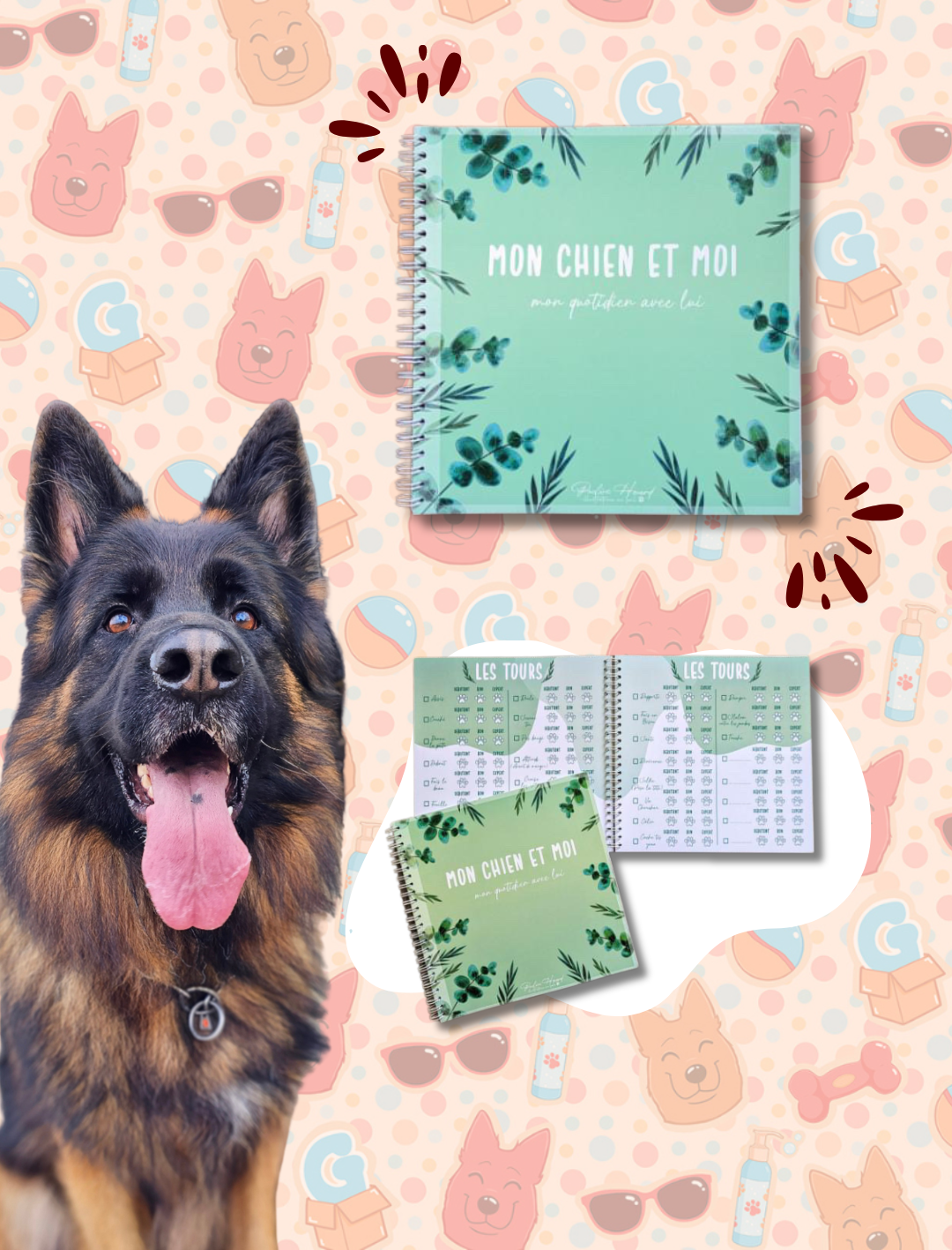 Livre pour chien